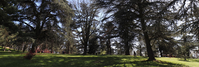 Agence immobilière de  Mogati