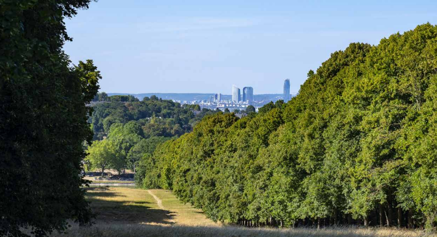 Agence immobilière de  Mogati