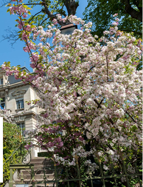 Agence immobilière de  Mogati