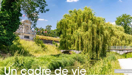 Agence immobilière de  Mogati