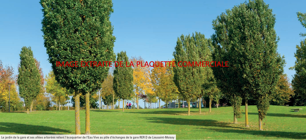 Agence immobilière de  Mogati