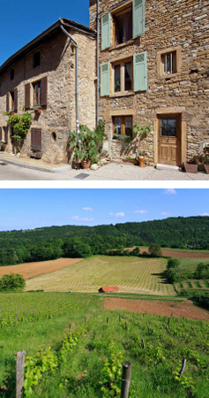 Agence immobilière de  Mogati