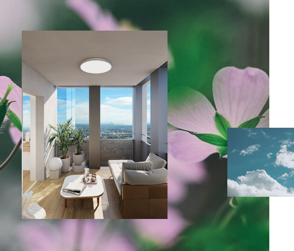 Agence immobilière de  Mogati