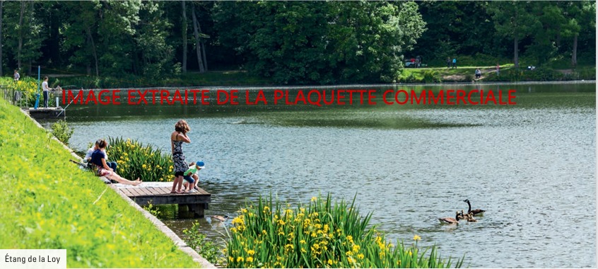 Agence immobilière de  Mogati