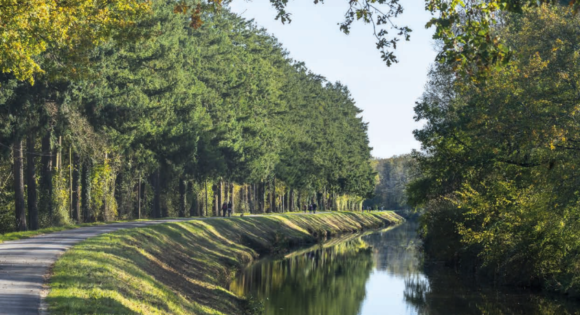 Agence immobilière de  Mogati