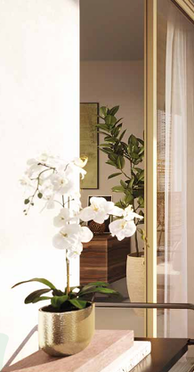 Agence immobilière de  Mogati