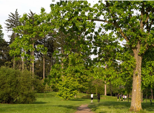 Agence immobilière de  Mogati