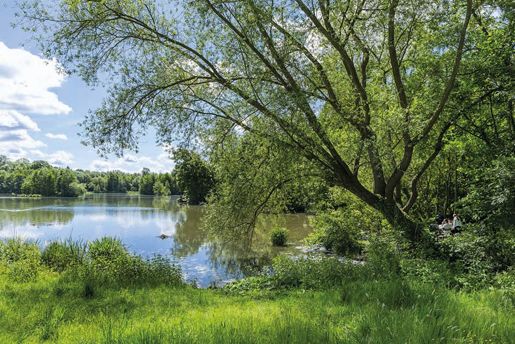 Agence immobilière de  Mogati